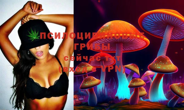 гидропоника Богородск