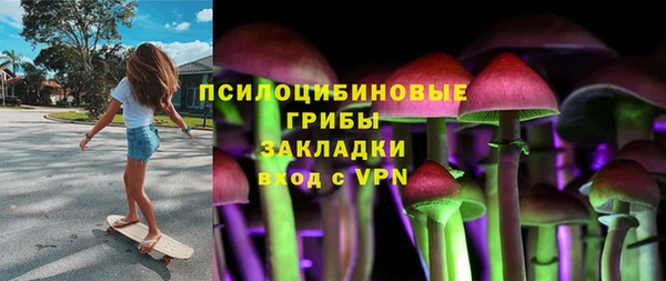 гидропоника Богородск