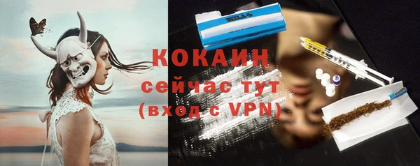 mix Богородицк
