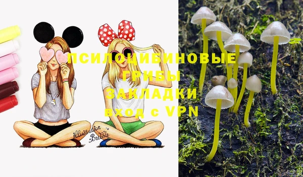 mix Богородицк