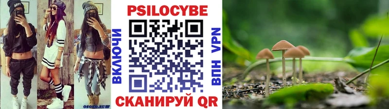 Купить где Верхний Тагил Галлюциногенные грибы Psilocybe